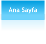 Ana Sayfa